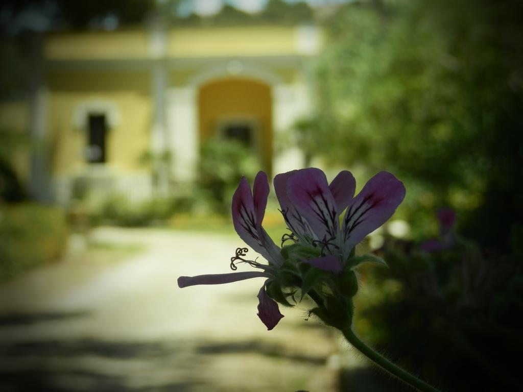 Dimora Relais Excelsa Hotel Gallipoli Exterior foto